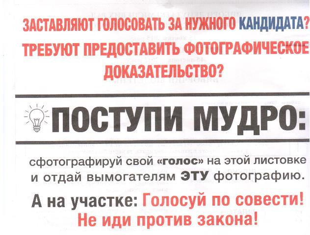 агитационный материал, который визуально напоминает избирательные бюллетени агитационный материал, который визуально напоминает избирательные бюллетени